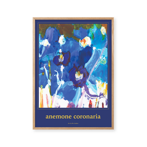 Peléton Anemone Coronaria 70x100 Poster